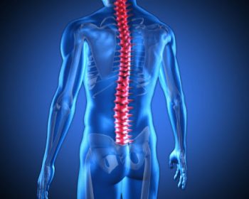 Chiropractic Chiropractic