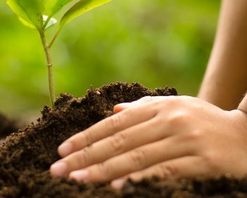 Environmental-NGO Environmental-NGO